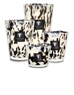 trinity-bougie-pearls-black-baobab-collection-1