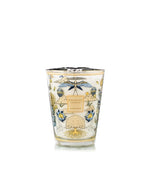 Bougie Baobab Collection Tomorrowland 2026 en verre, décor doré illustré d'un arbre, oiseaux et papillons.