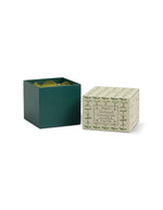 trinity-bougie-verbena-lemongrass-paddywax-3