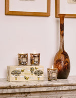 trinity-bougies-trio-rosace-caravane-afrika-baobab-collection-2