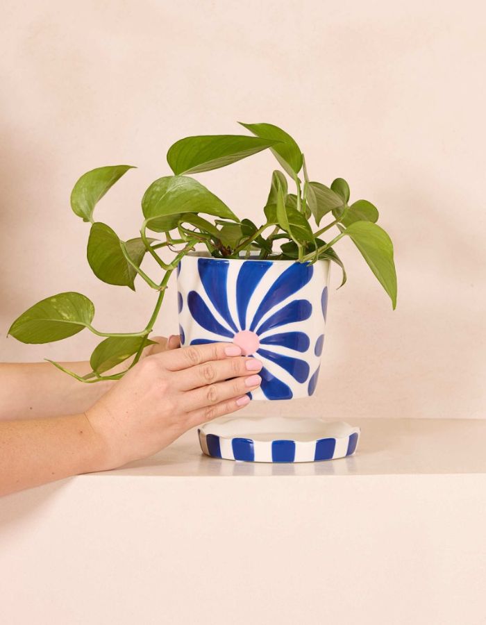 Plante dans le Cache-pot rond en céramique dolomite fait main Lior de la marque Qué Rico, posé sur sa coupelle de drainage assortie. Décoré d'un motif de fleurs graphiques peintes à la main dans des nuances de bleu vif et bleu marine.