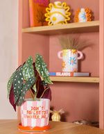 Ambiance déco avec le Cache-pot rond en céramique fait main Lior de la marque Qué Rico, posé sur sa coupelle assortie. Motif graphique Squares and Stripes peint à la main avec des carreaux et des rayures de couleur rose, orange et blanche.