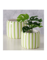 trinity-cache-pot-rayures-vertes-2