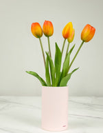 trinity-fausses-tulipes-nodito-orange-1