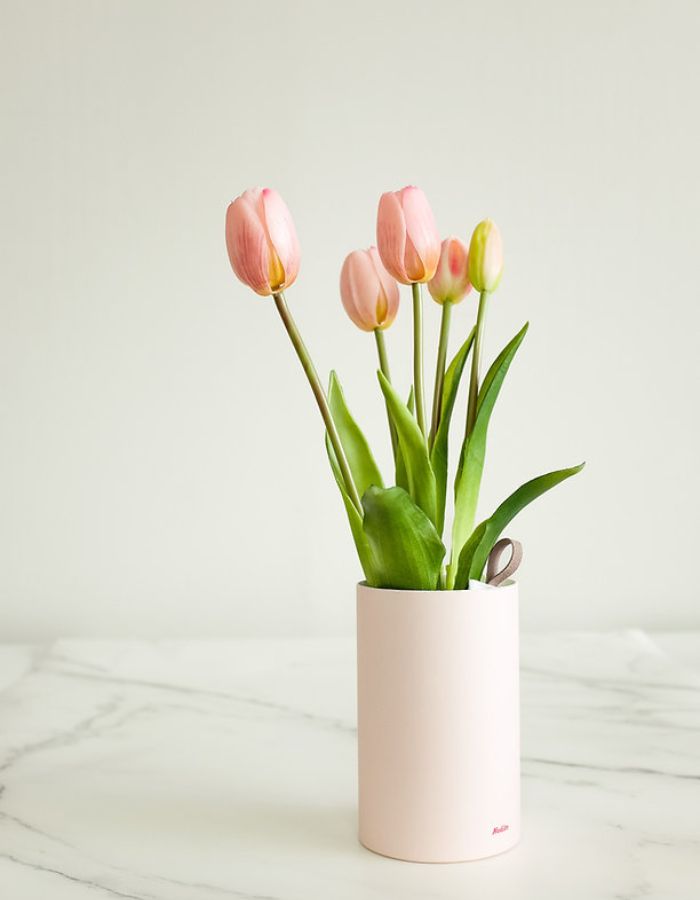 trinity-fausses-tulipes-nodito-roses-1