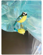 trinity-figurine-oiseau-mesange-bleue-lequipee-2