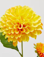 trinity-fleur-artificielle-dahlia-jaune-enzo-de-gasperi-2