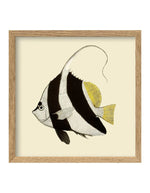 trinity-illustration-encadree-black-white-fish-the-dybdahl-co-1