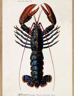 trinity-illustration-encadree-lobster-the-dybdahl-co-1