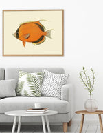 trinity-illustration-encadree-ninja-fish-the-dybdahl-co-2