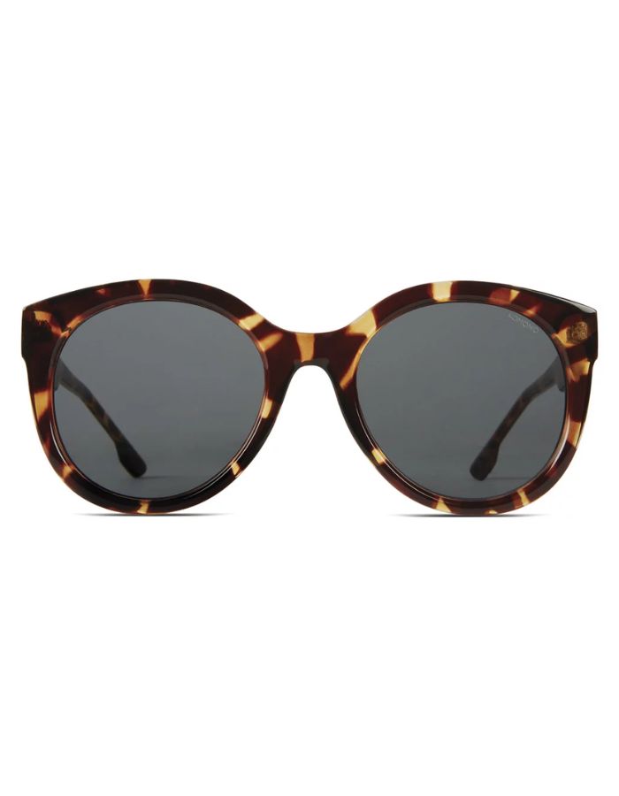 Lunettes Ellis Havana