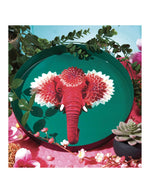 trinity-plateau-rond-pachiii-gangzai-3