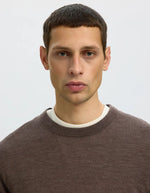 Col du Pull pour homme à col rond en laine mérinos couleur marron chocolat, modèle Tray LS Knit Reg Merino Crew de la marque SELECTED HOMME.