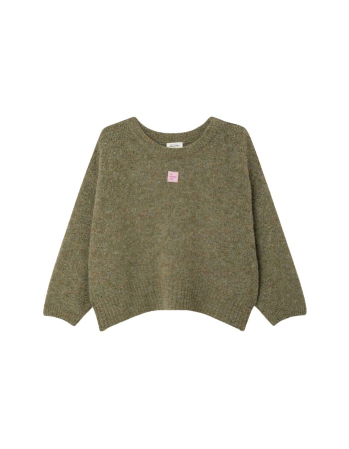 Pull East Lézard Chiné American Vintage