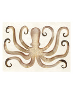 trinity-set-table-vinyle-pelosa-podevache-1