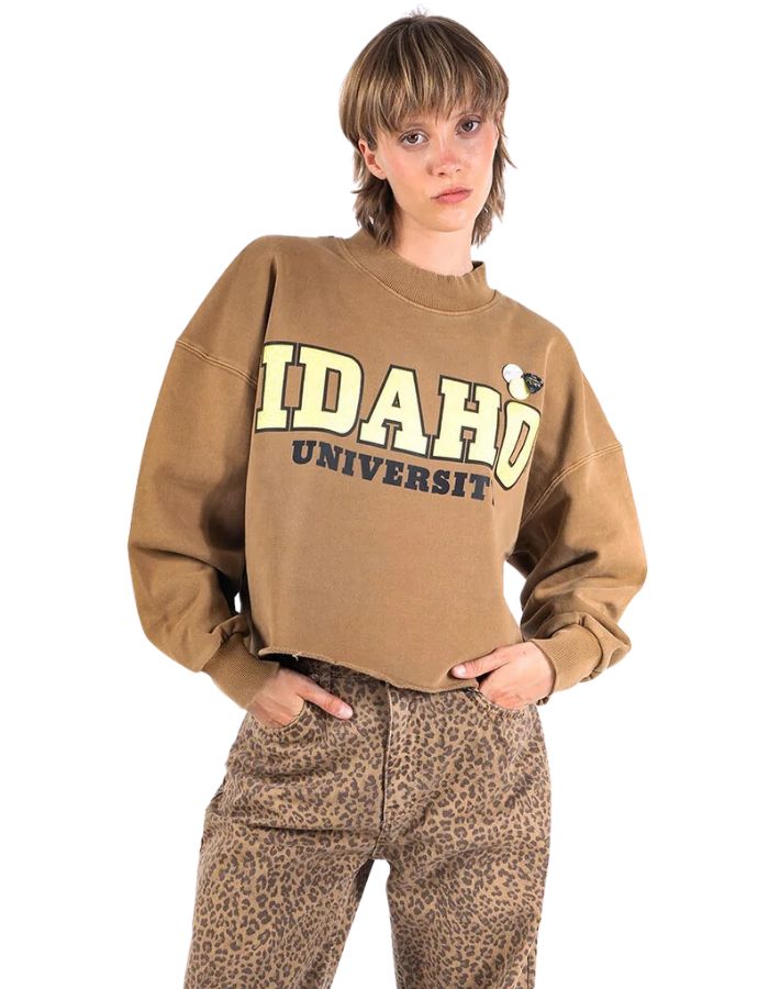 trinity-sweatshirt-crop-porter-havane-university-newtone