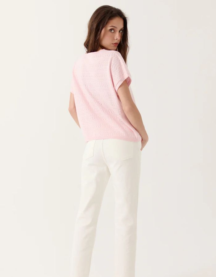 Top Cheyenne Rose