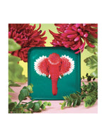 trinity-vide-poche-pachiii-gangzai-3